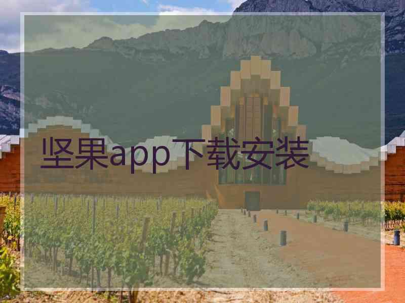 坚果app下载安装