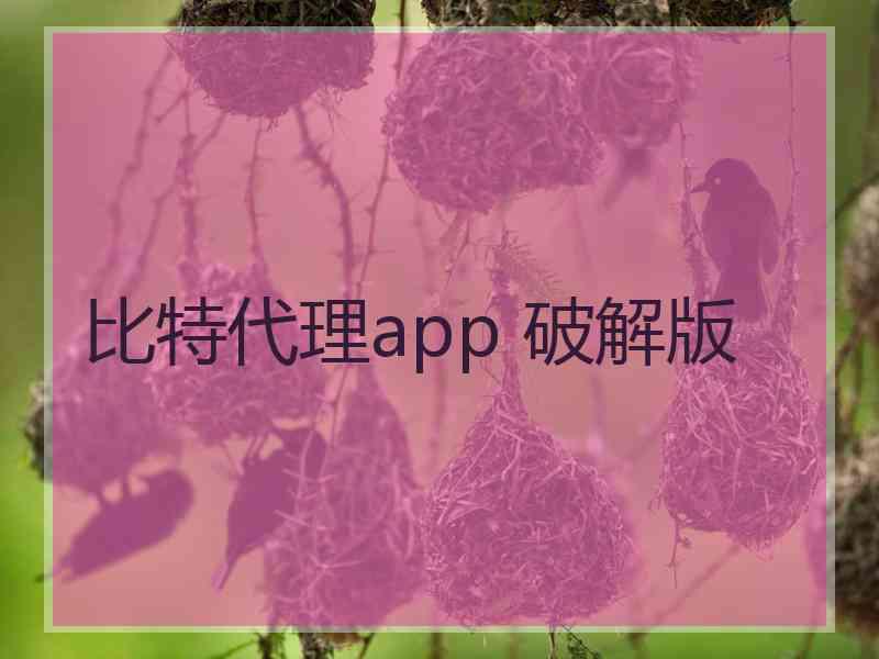 比特代理app 破解版