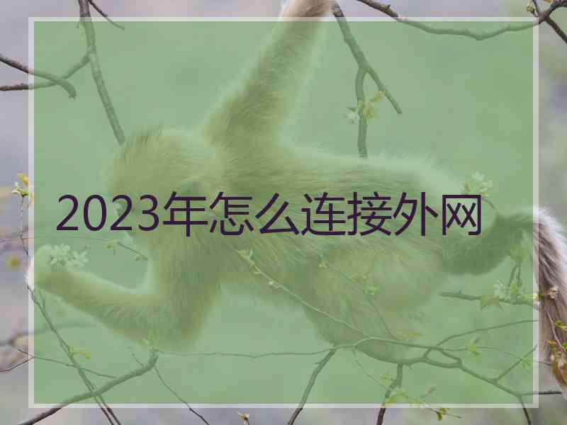 2023年怎么连接外网