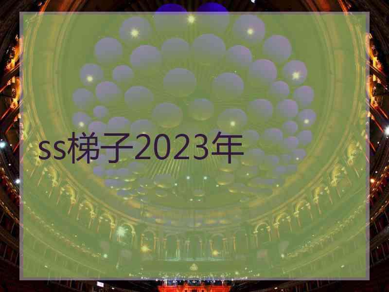 ss梯子2023年