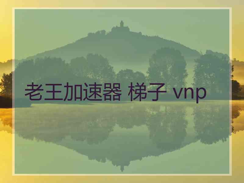 老王加速器 梯子 vnp