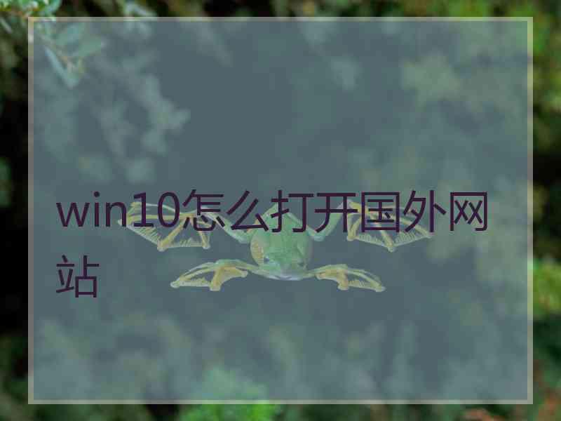 win10怎么打开国外网站