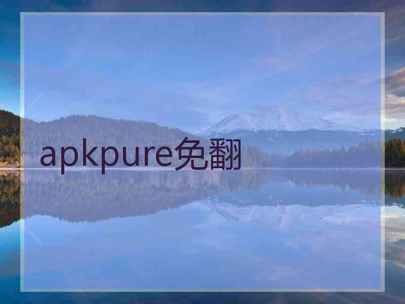 apkpure免翻