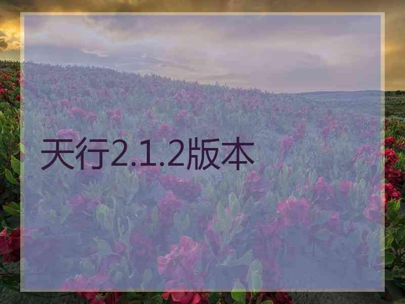 天行2.1.2版本