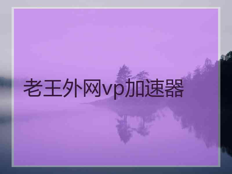 老王外网vp加速器