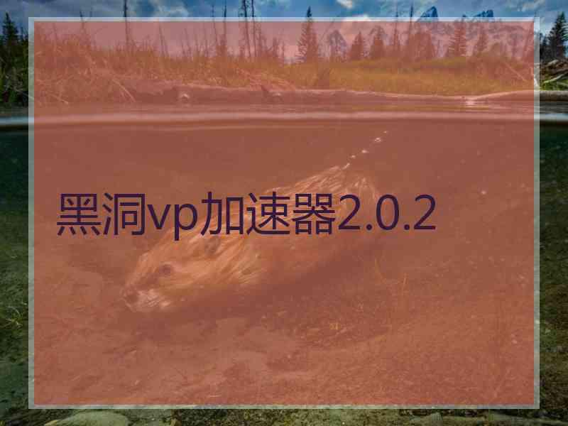 黑洞vp加速器2.0.2