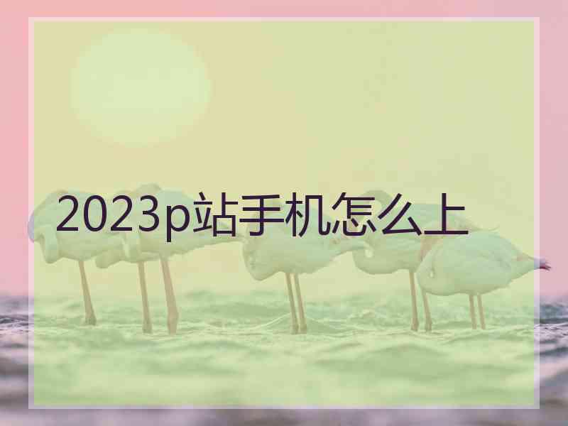 2023p站手机怎么上