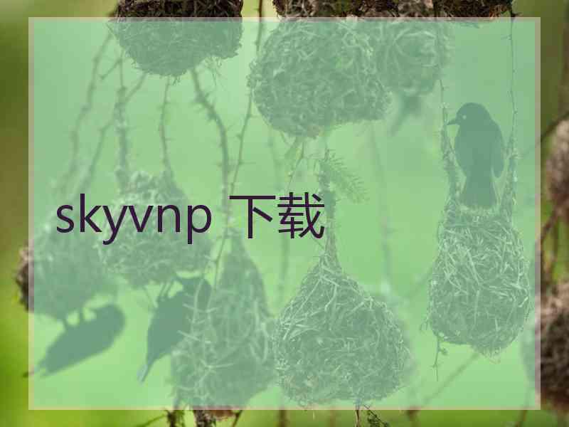 skyvnp 下载