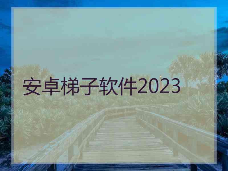 安卓梯子软件2023