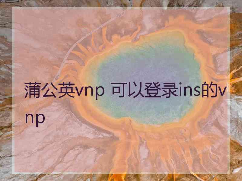 蒲公英vnp 可以登录ins的vnp