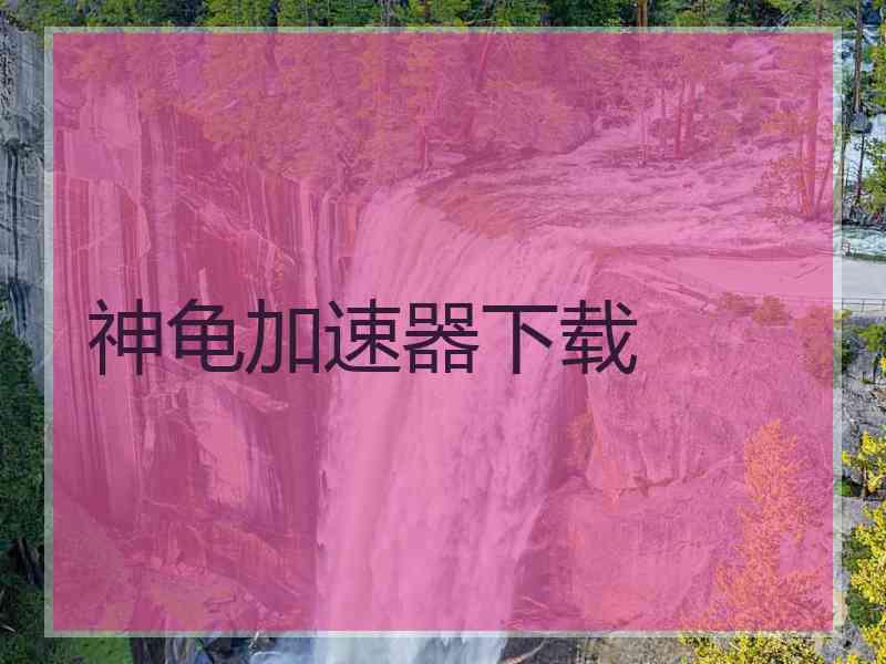 神龟加速器下载