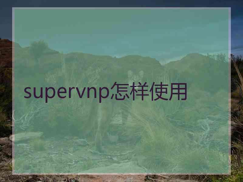 supervnp怎样使用