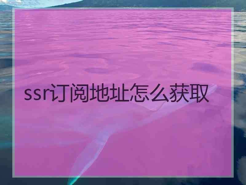 ssr订阅地址怎么获取