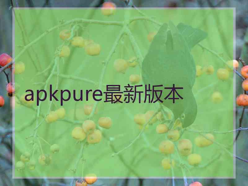 apkpure最新版本