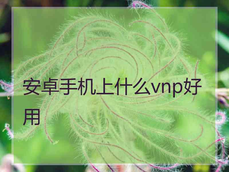 安卓手机上什么vnp好用